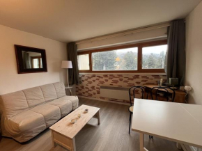 Studio 3 personnes en station avec parking couvert - FR-1-787-115